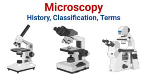 Microscopy- History, Classification, and Terms