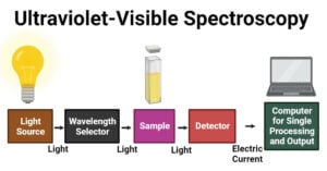 UV-Vis Spectroscopy
