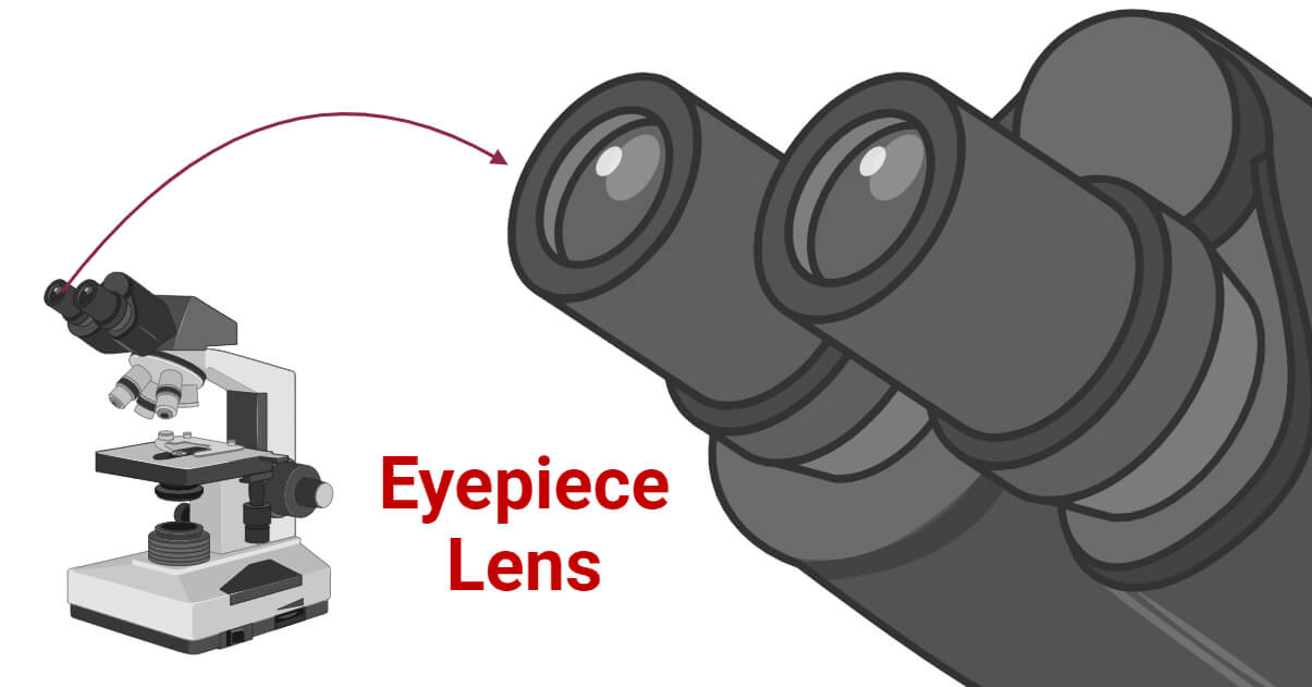 Eyepiece Lens