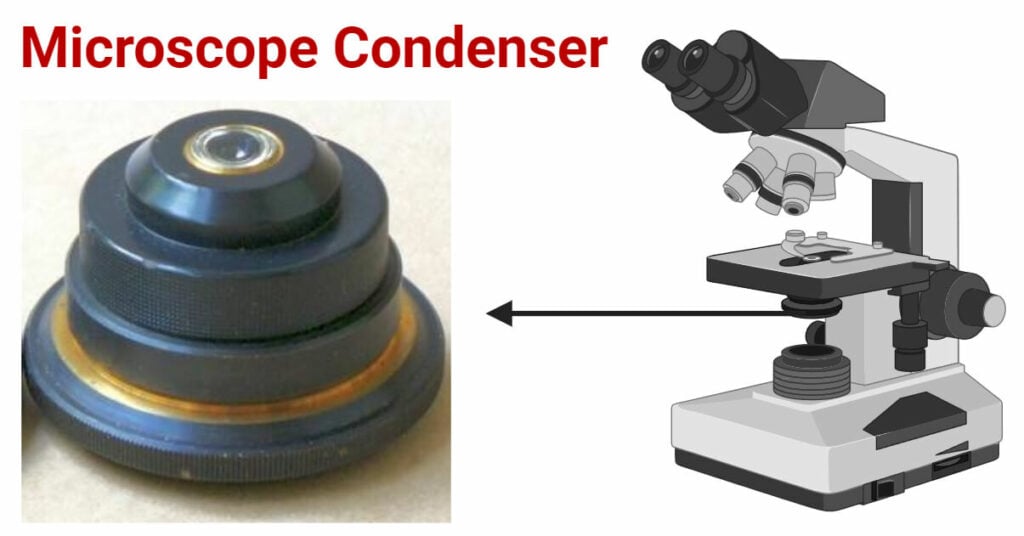 Microscope Condenser Structure, Types, Functions