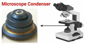 Microscope Condenser