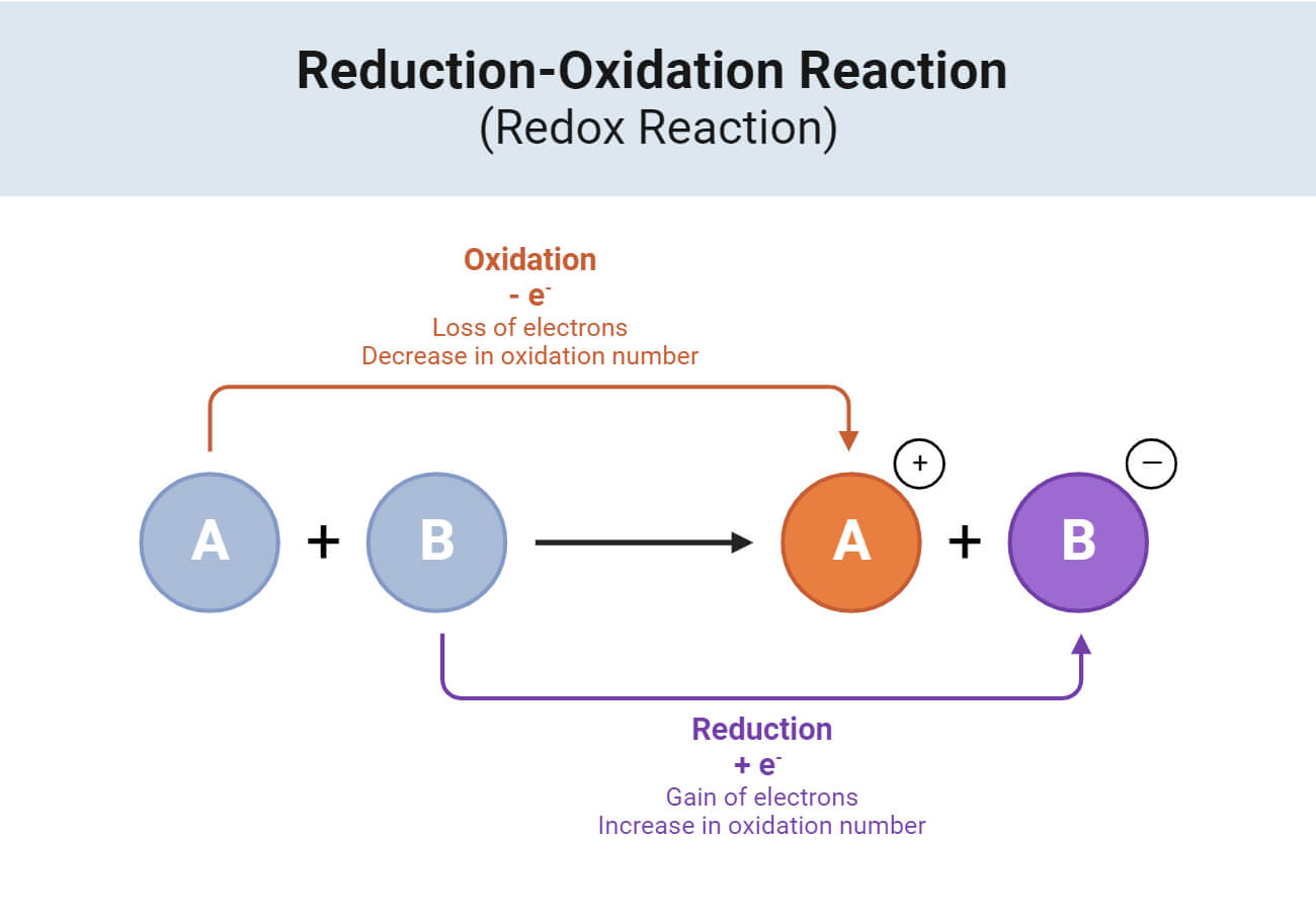 Reduction-Oxidation Reaction  (Redox Reaction)