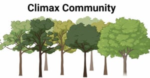 Climax Community