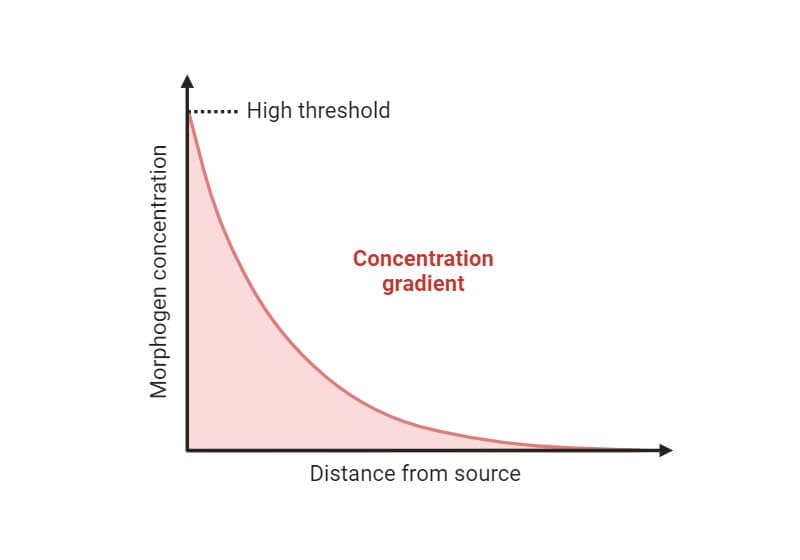 Concentration vs Distance Plot