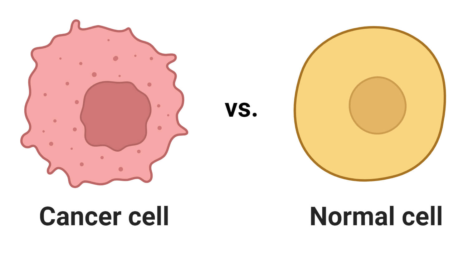 Cancer Cells vs. Normal Cells