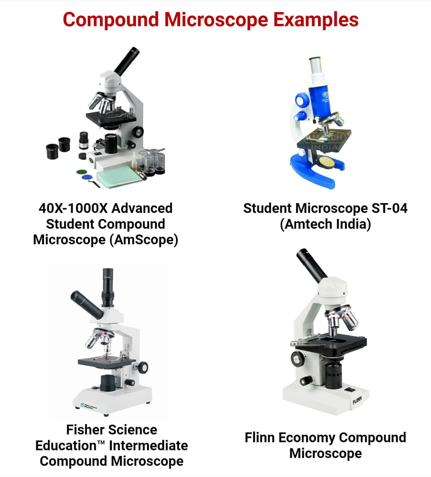 Examples of Compound Microscope
