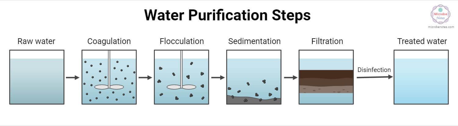 Water Purification Steps