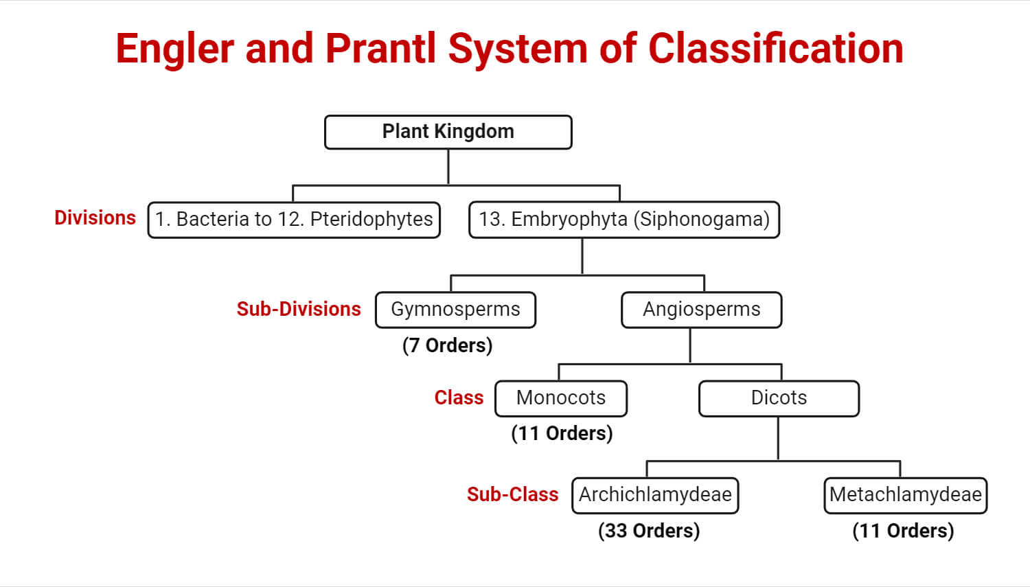 Engler and Prantl System of Classification