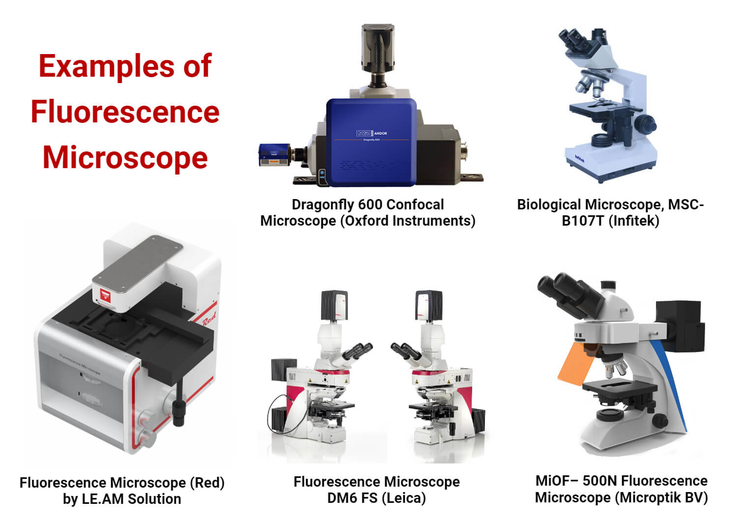 Examples of Fluorescence Microscope