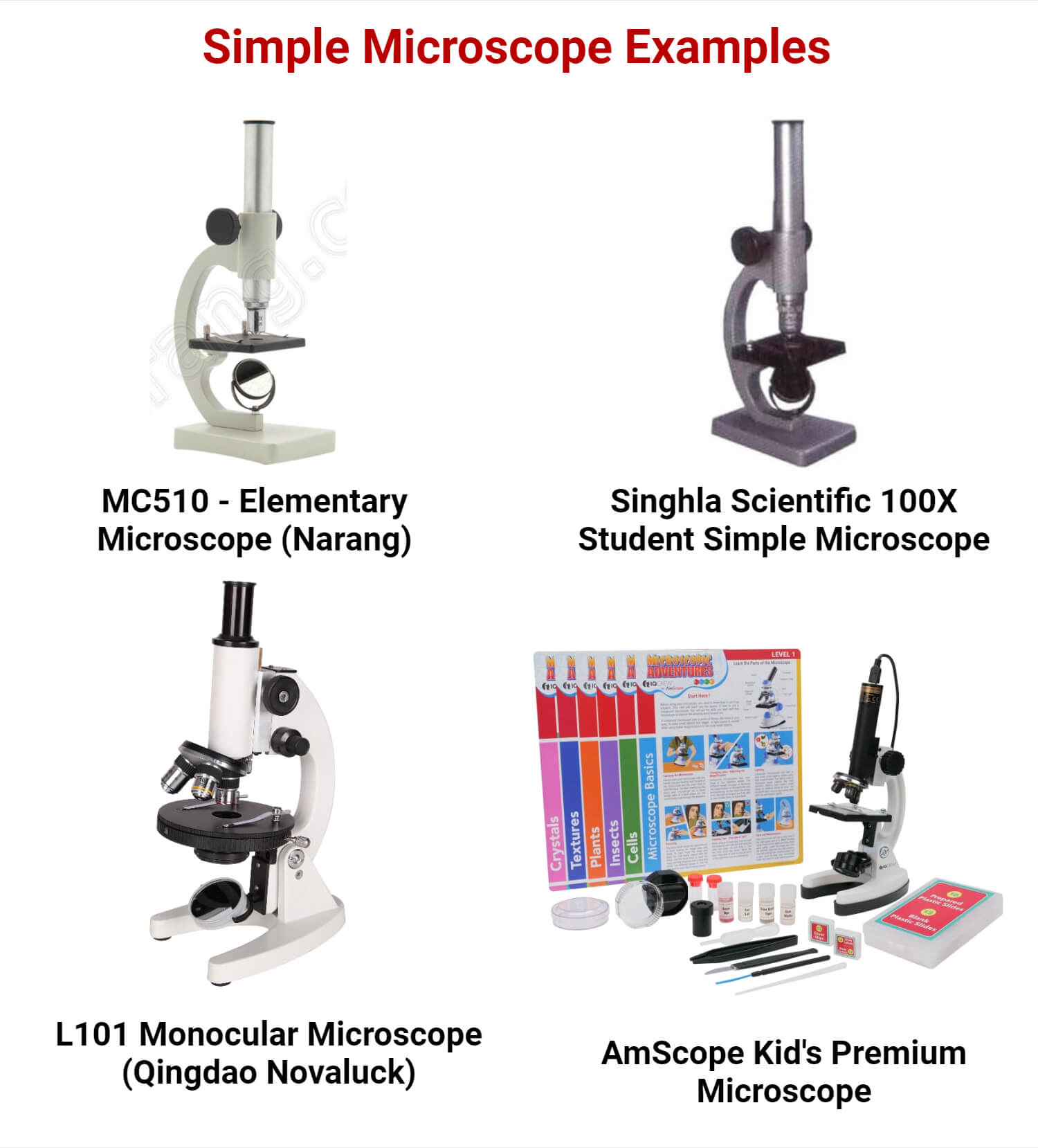 Examples of Simple Microscope
