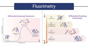 Fluorimetry