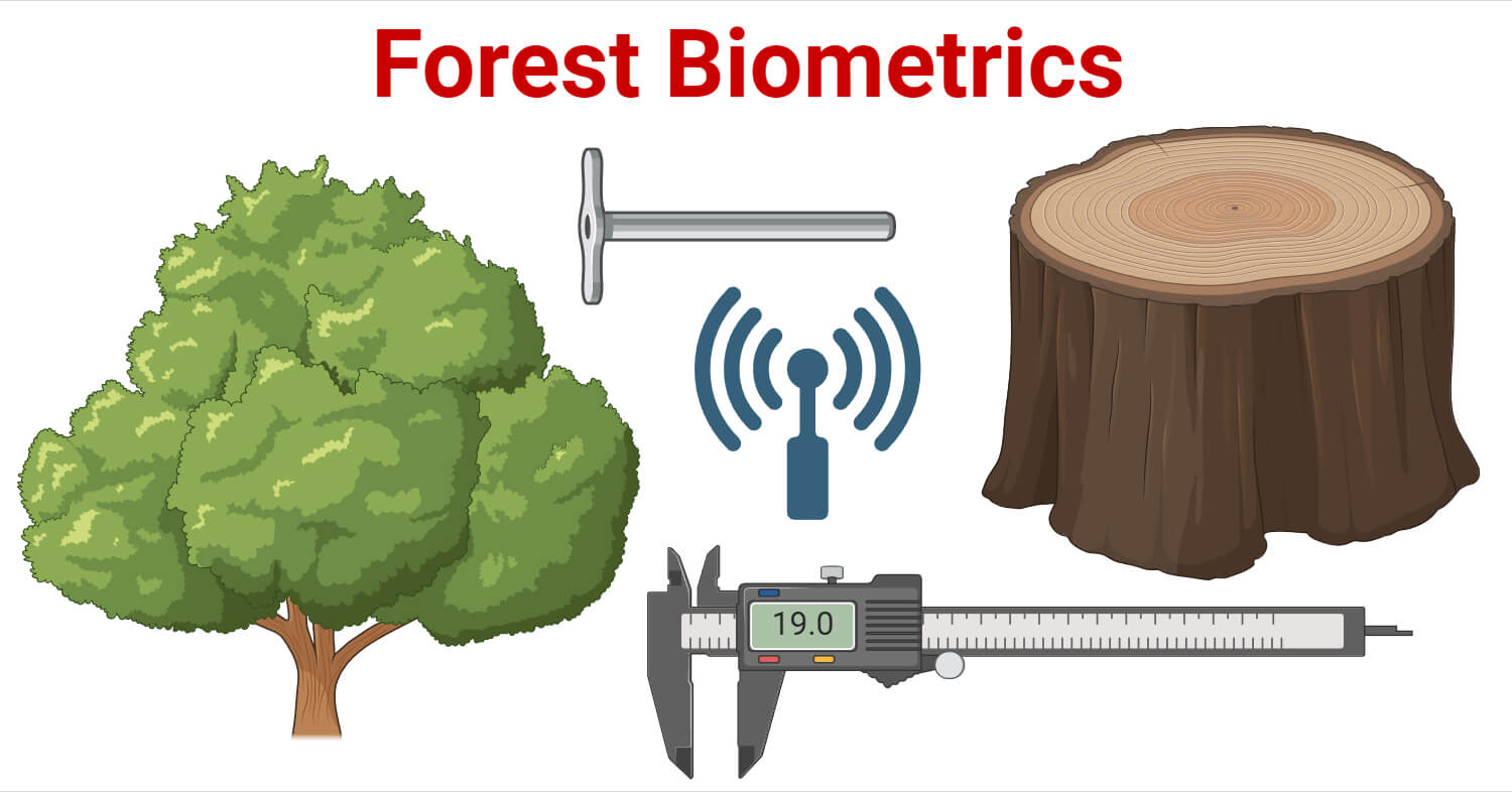 Forest Biometrics