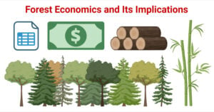 Forest Economics and Its Implications