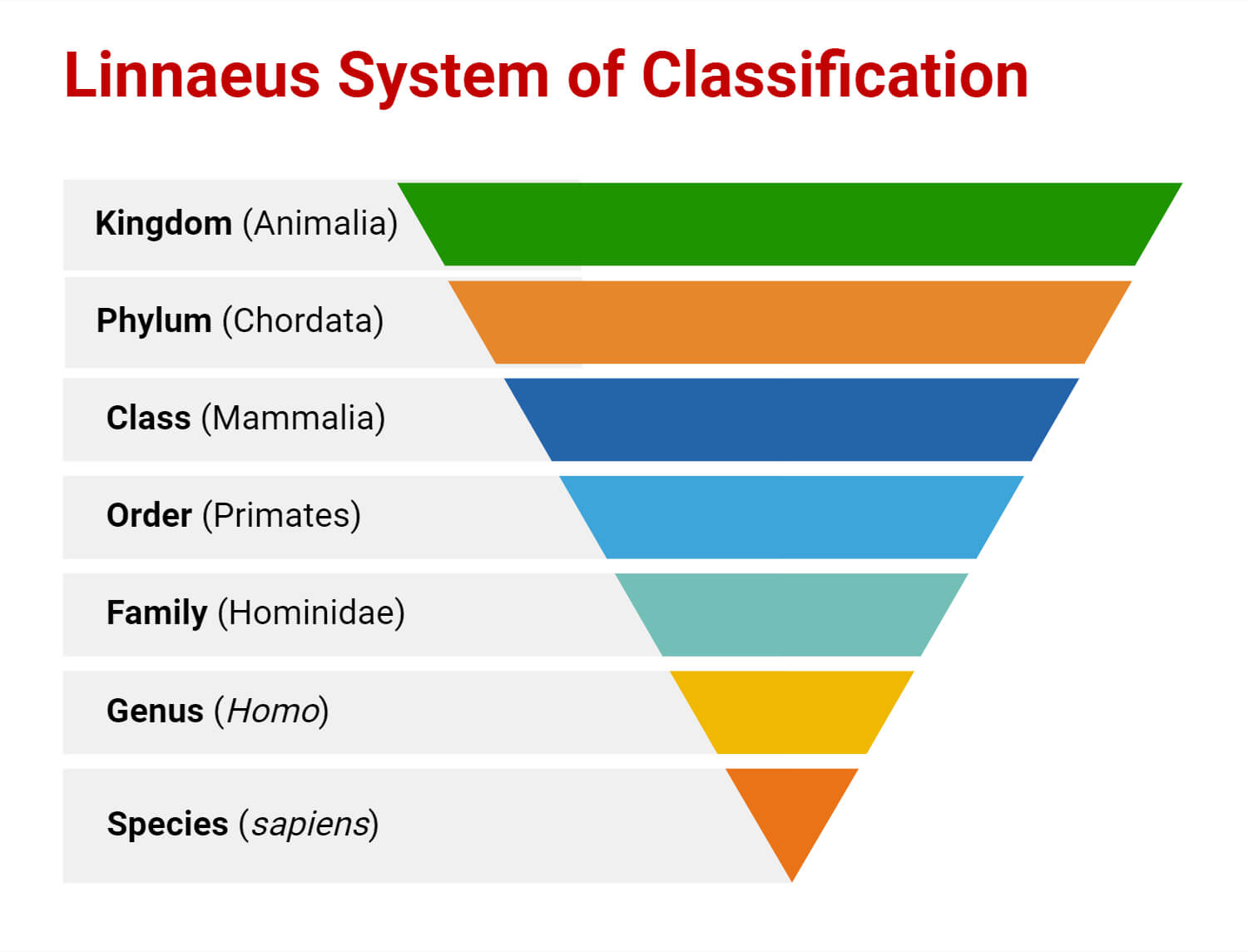 Linnaeus System of Classification