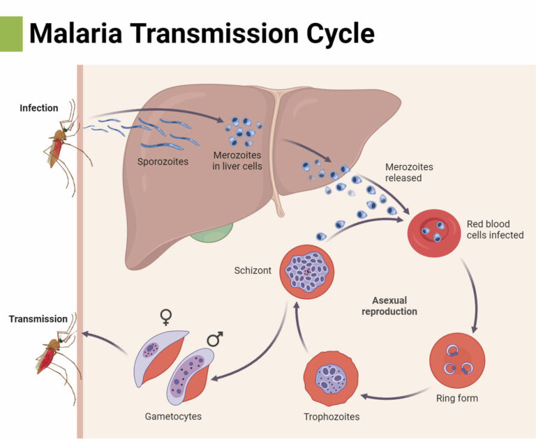 Zoonosis visual data 7