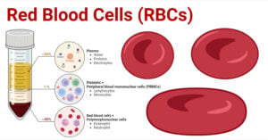 Red Blood Cells (RBCs)