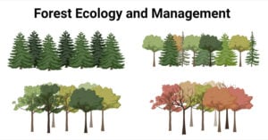 Understanding Forest Ecology and Management