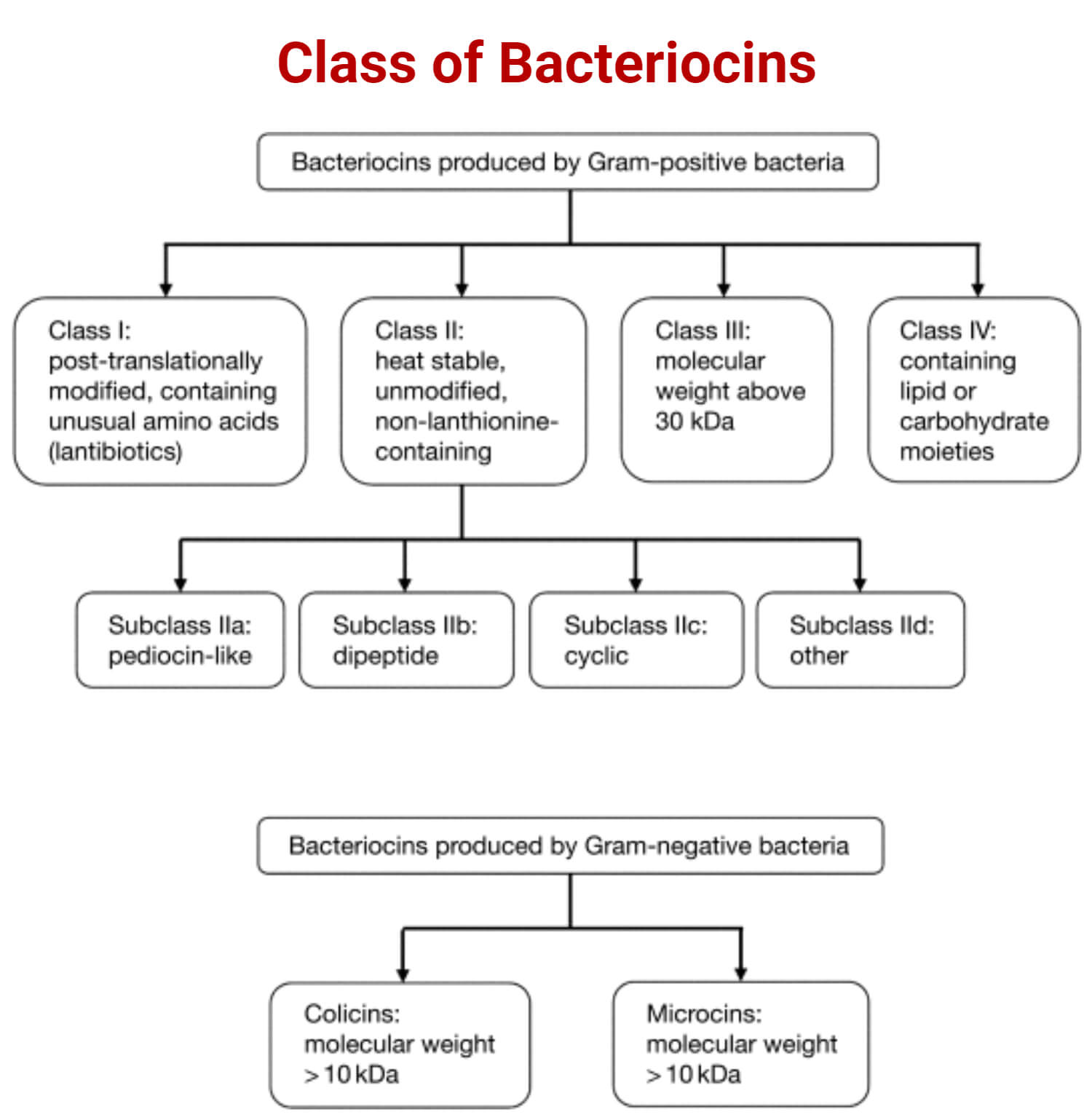 Class of Bacteriocins