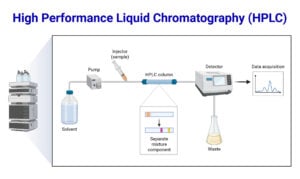 High Performance Liquid Chromatography (HPLC)