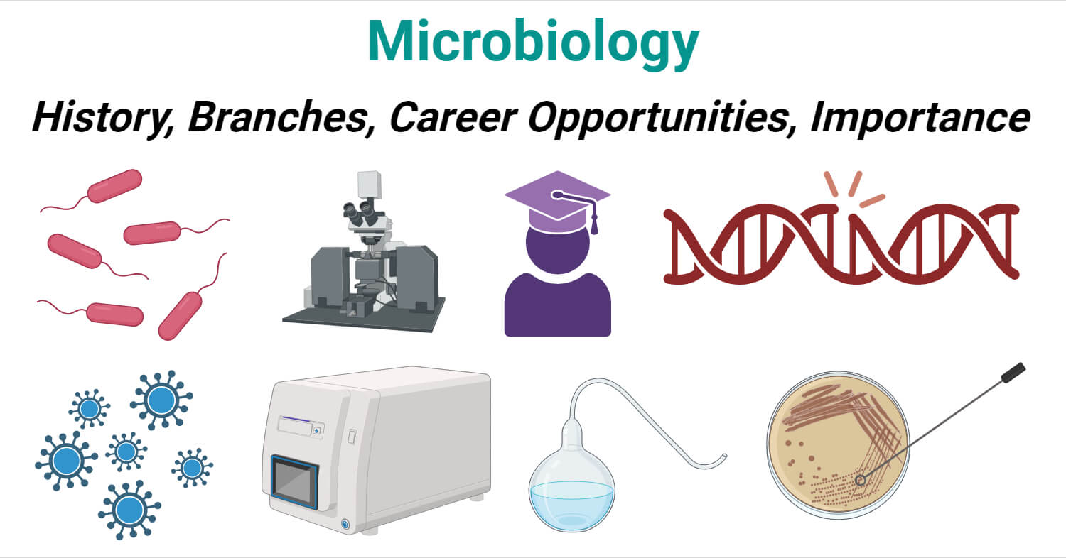 Microbiology- History, Branches, Career Opportunities
