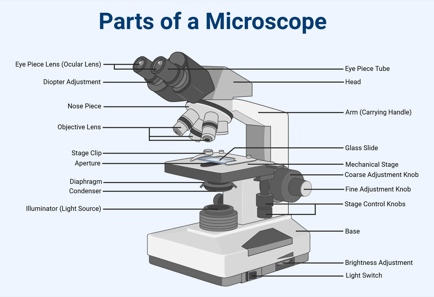 Parts Of A Microscope Meet The New Microscopes 2013 09 04 Quality Parts Of A Microscope Meet The New Microscopes 2013 09 04 Quality