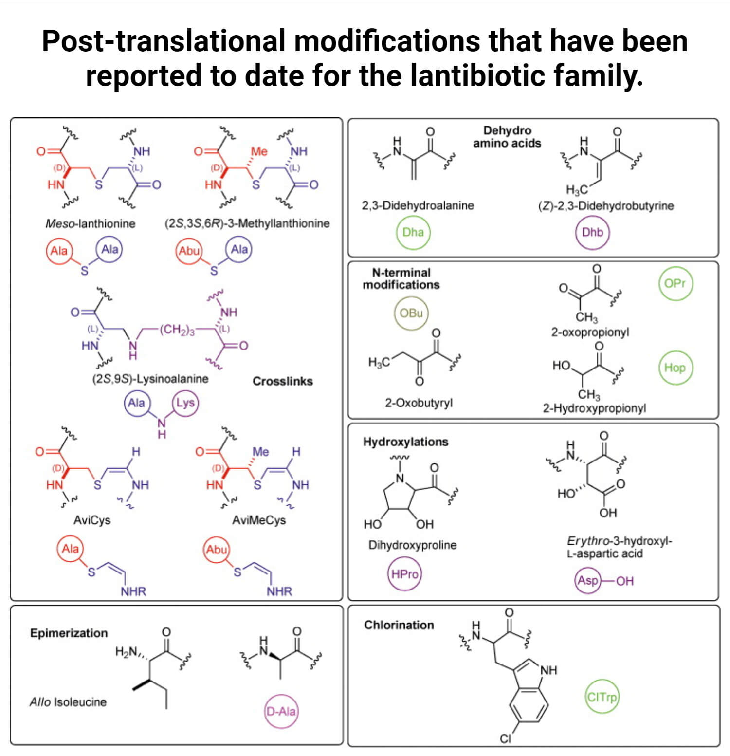 Posttranslational modifications that have been reported to date for the lantibiotic family
