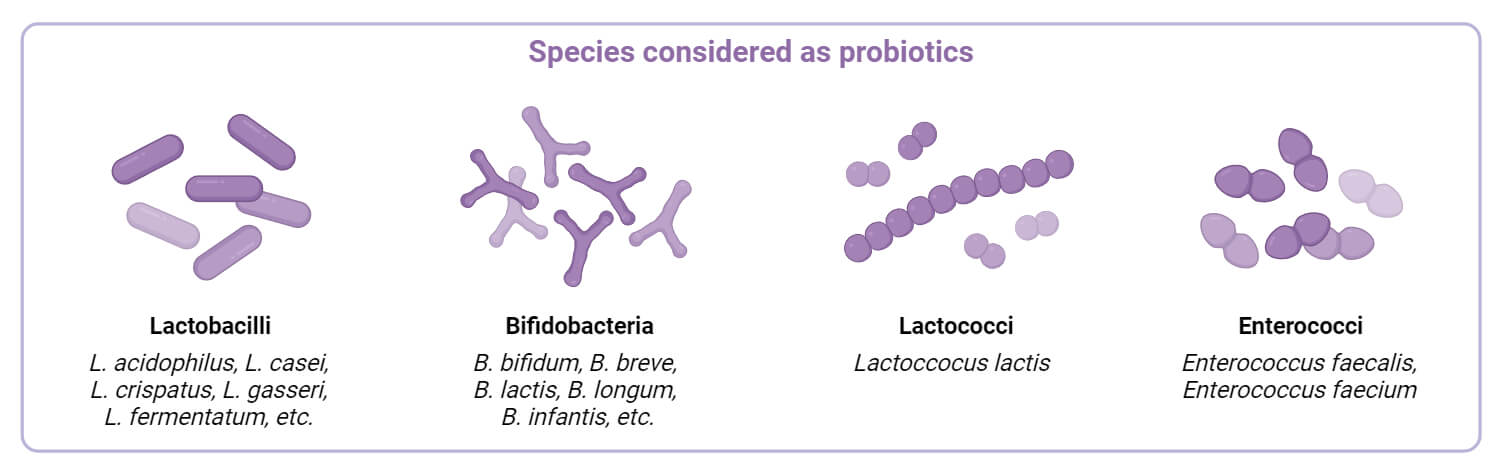 Probiotics and Microorganisms