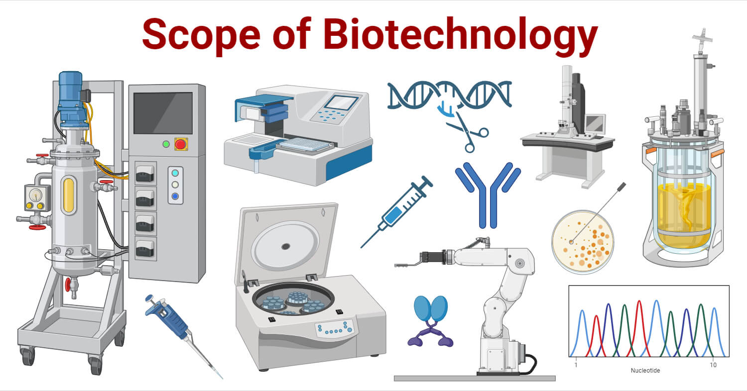 Scope of Biotechnology with Branches and Careers