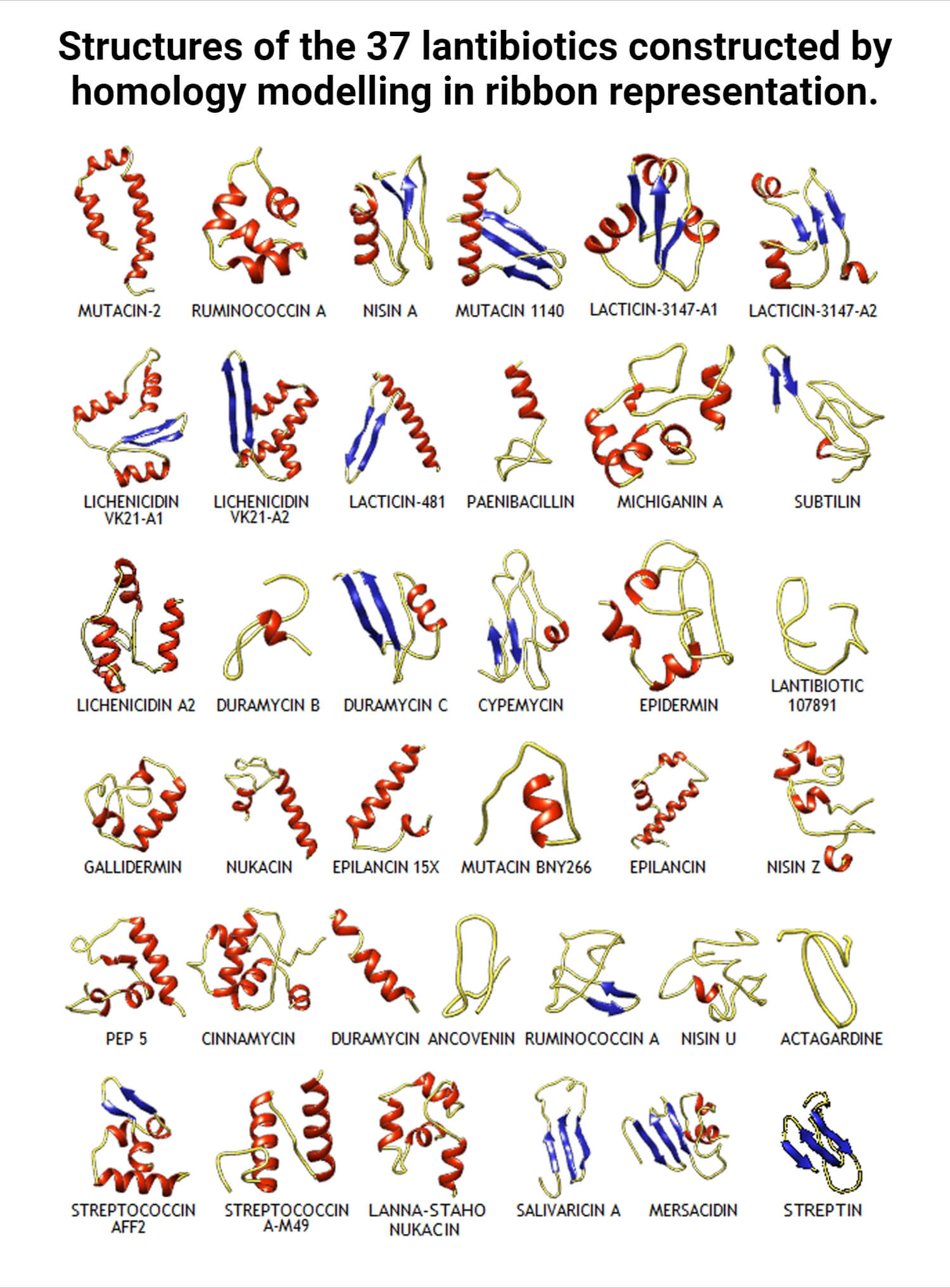 Structures of the 37 lantibiotics constructed by homology modelling in ribbon representation