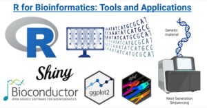 R Programming Language in Bioinformatics