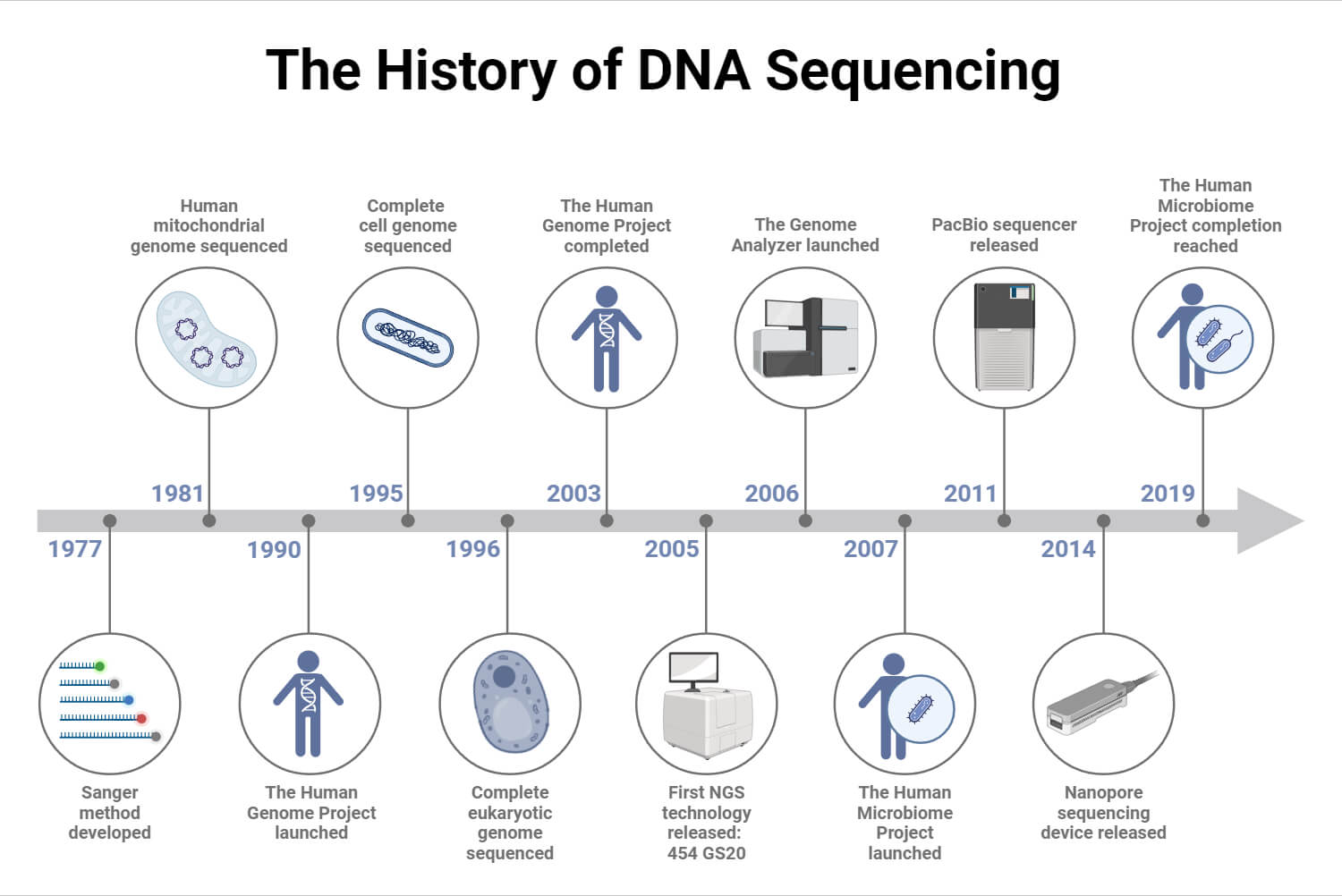 The History of DNA Sequencing