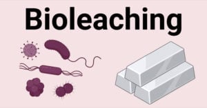 Bioleaching