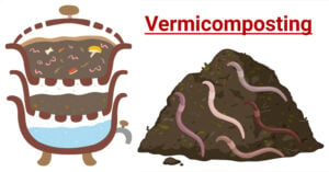 Vermicomposting