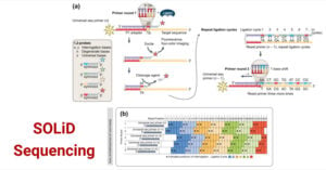 SOLiD Sequencing