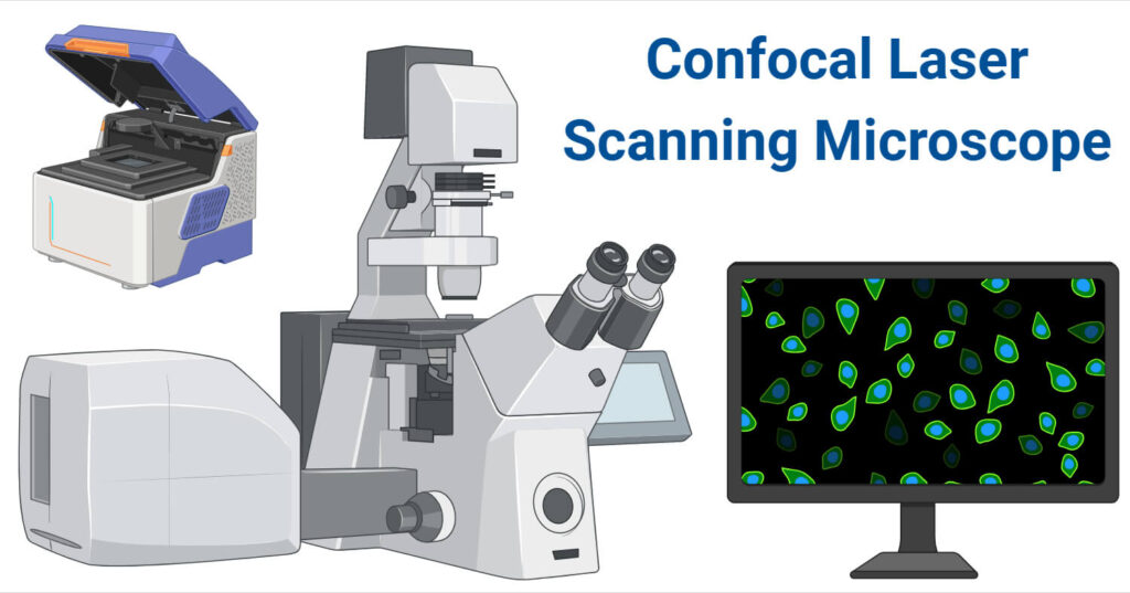 Confocal Laser Scanning Microscope: Principle, Parts, Uses