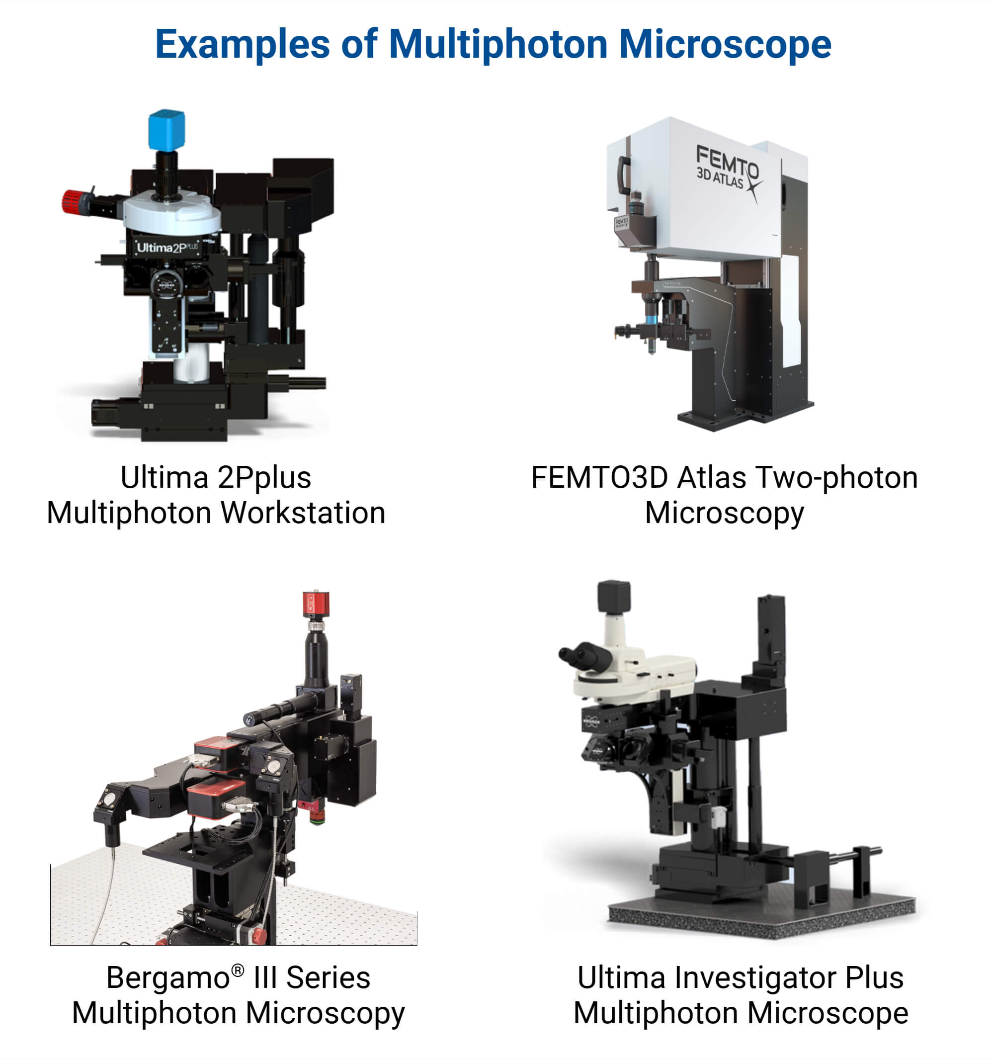 Examples of Multiphoton Microscope