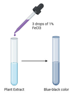 Ferric Chloride (FeCl3) test for phenolic compounds