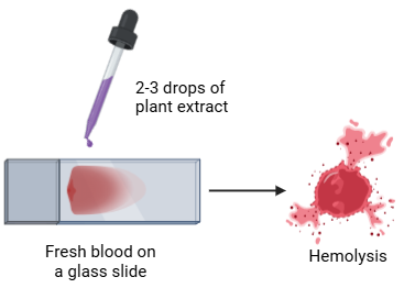 Hemolysis test for saponins