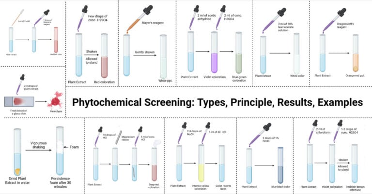 Phytochemical Screening: Types, Principle, Results, Examples