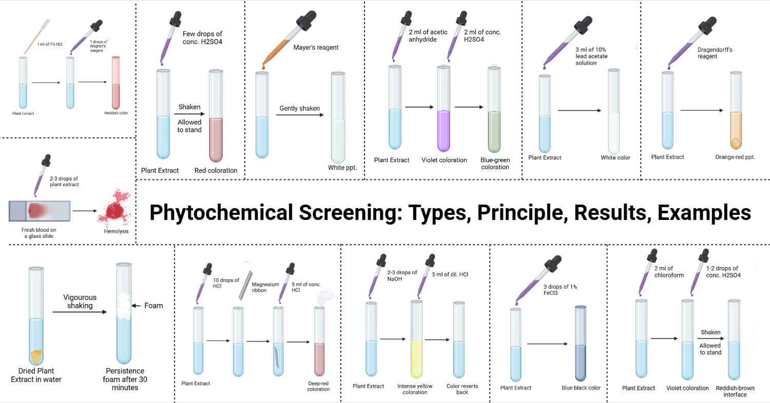 Phytochemical Screening