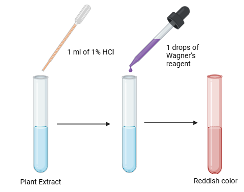 Wagner’s test for alkaloids