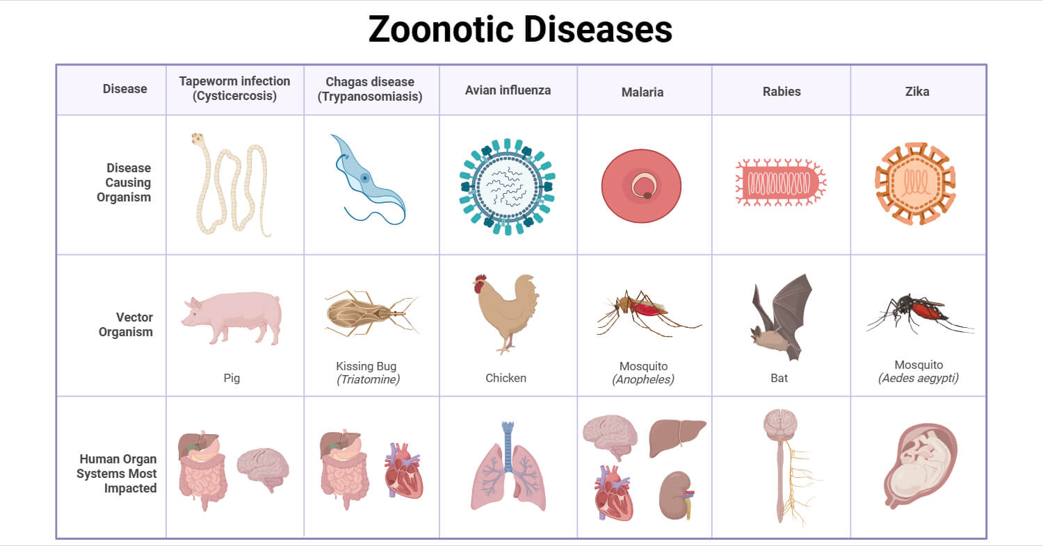 Zoonotic Diseases