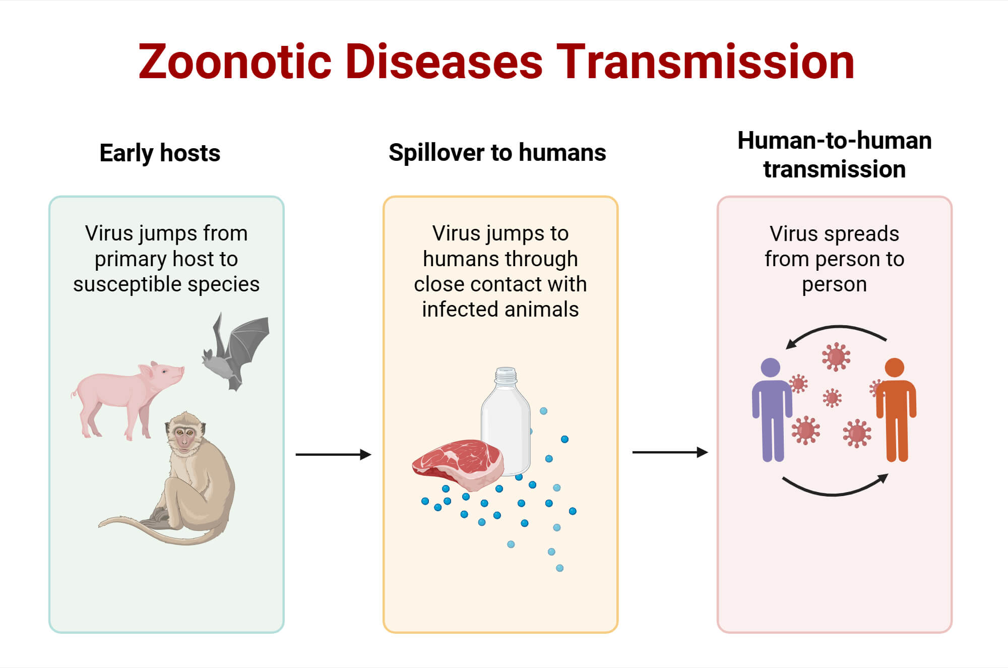 Zoonotic diseases transmission