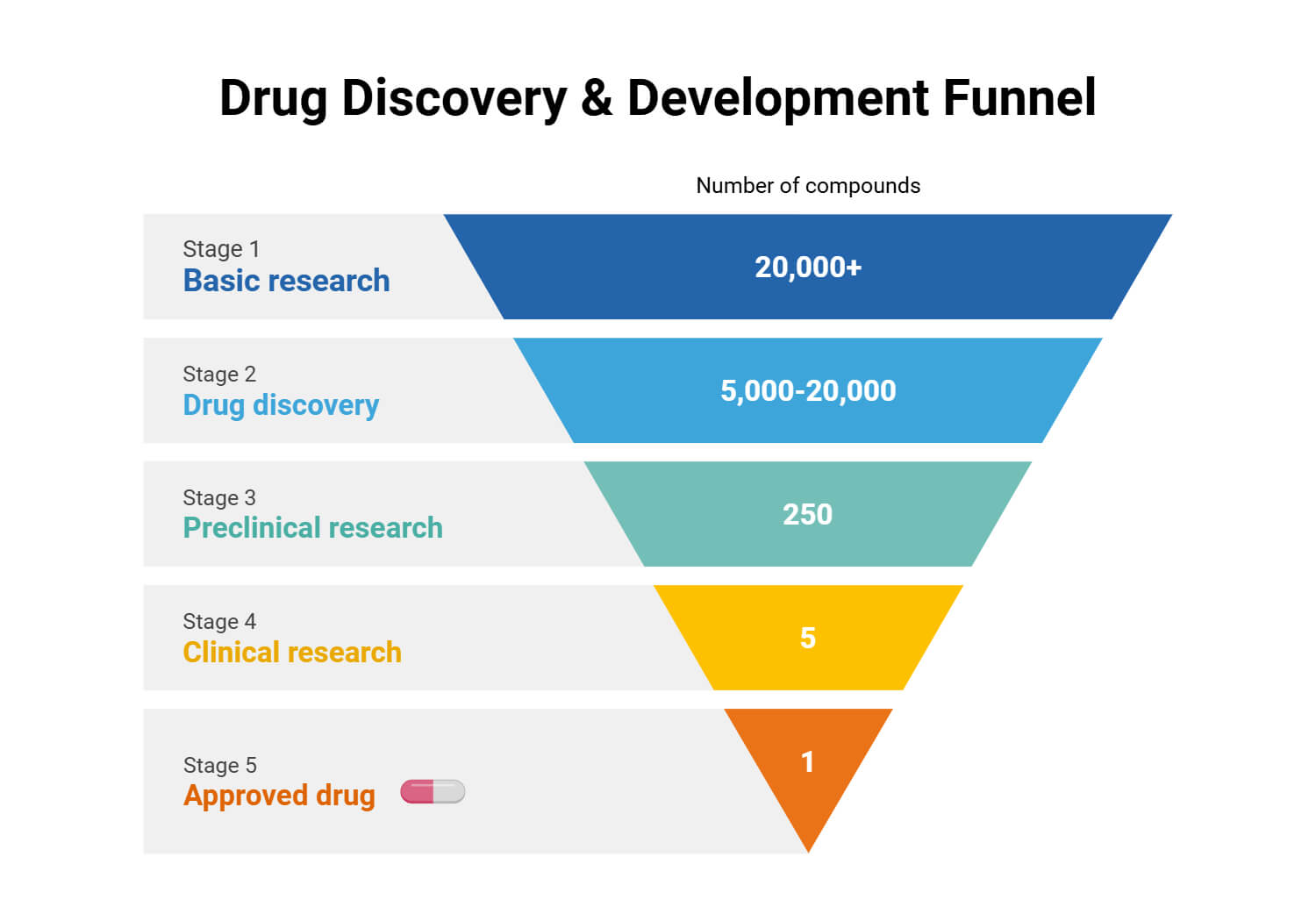 Drug Discovery Development Funnel Drug Discovery & Development Funnel