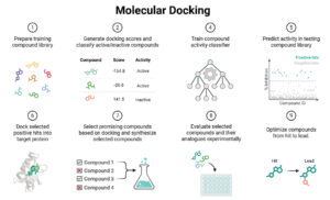 Molecular Docking