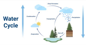 Water Cycle