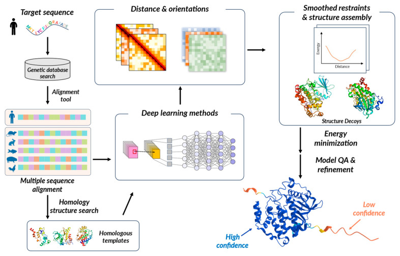 Workflow of DL based protein structure prediction Workflow of DL based protein structure prediction