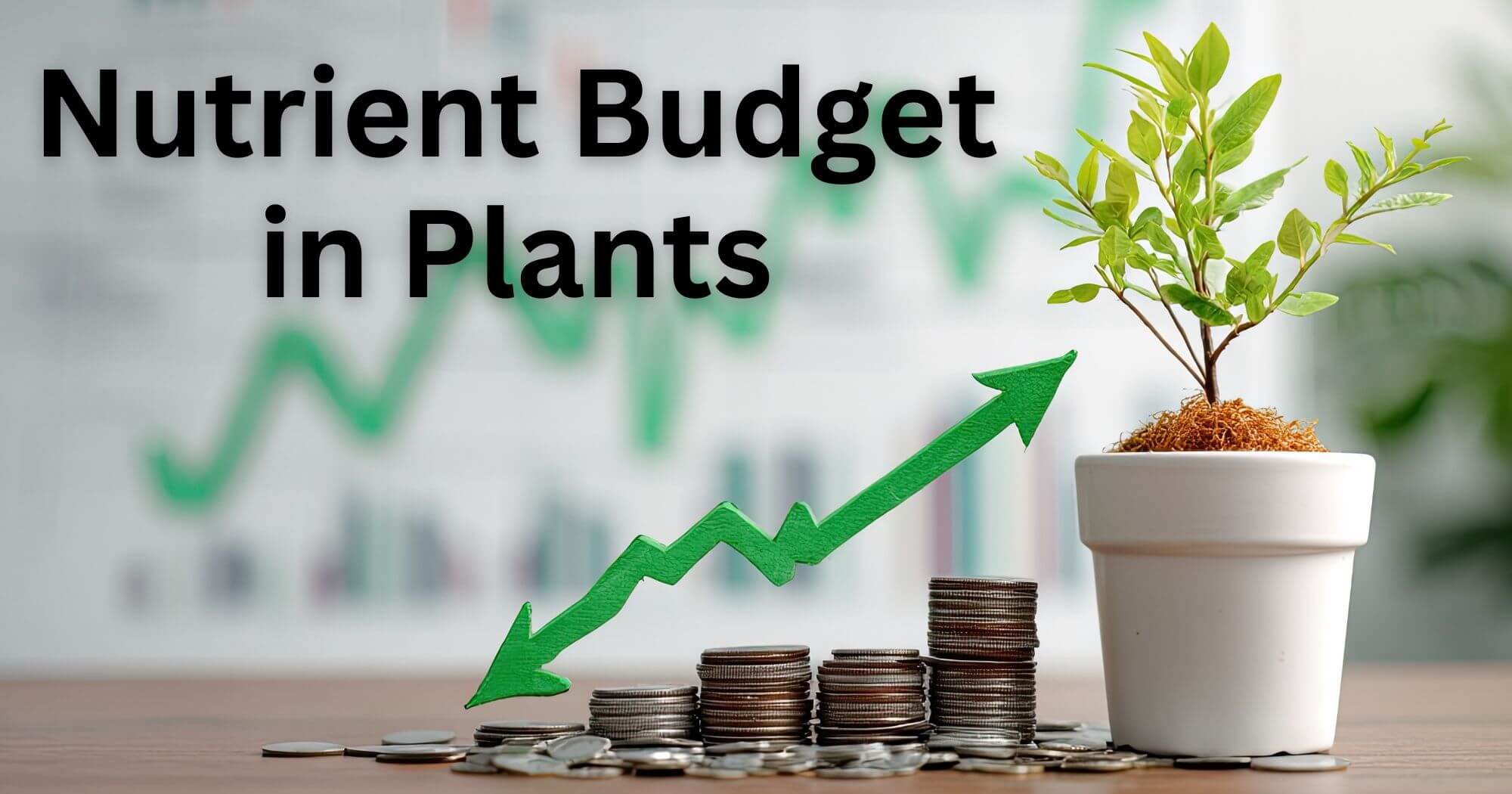 Nutrient Budget in Plants Nutrient Budget in Plants