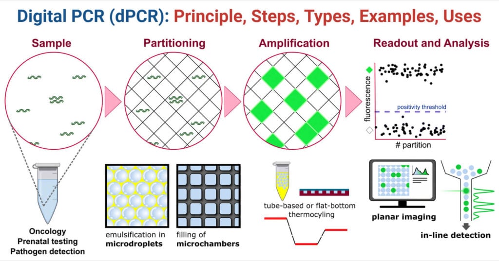 Digital PCR dPCR Digital PCR dPCR