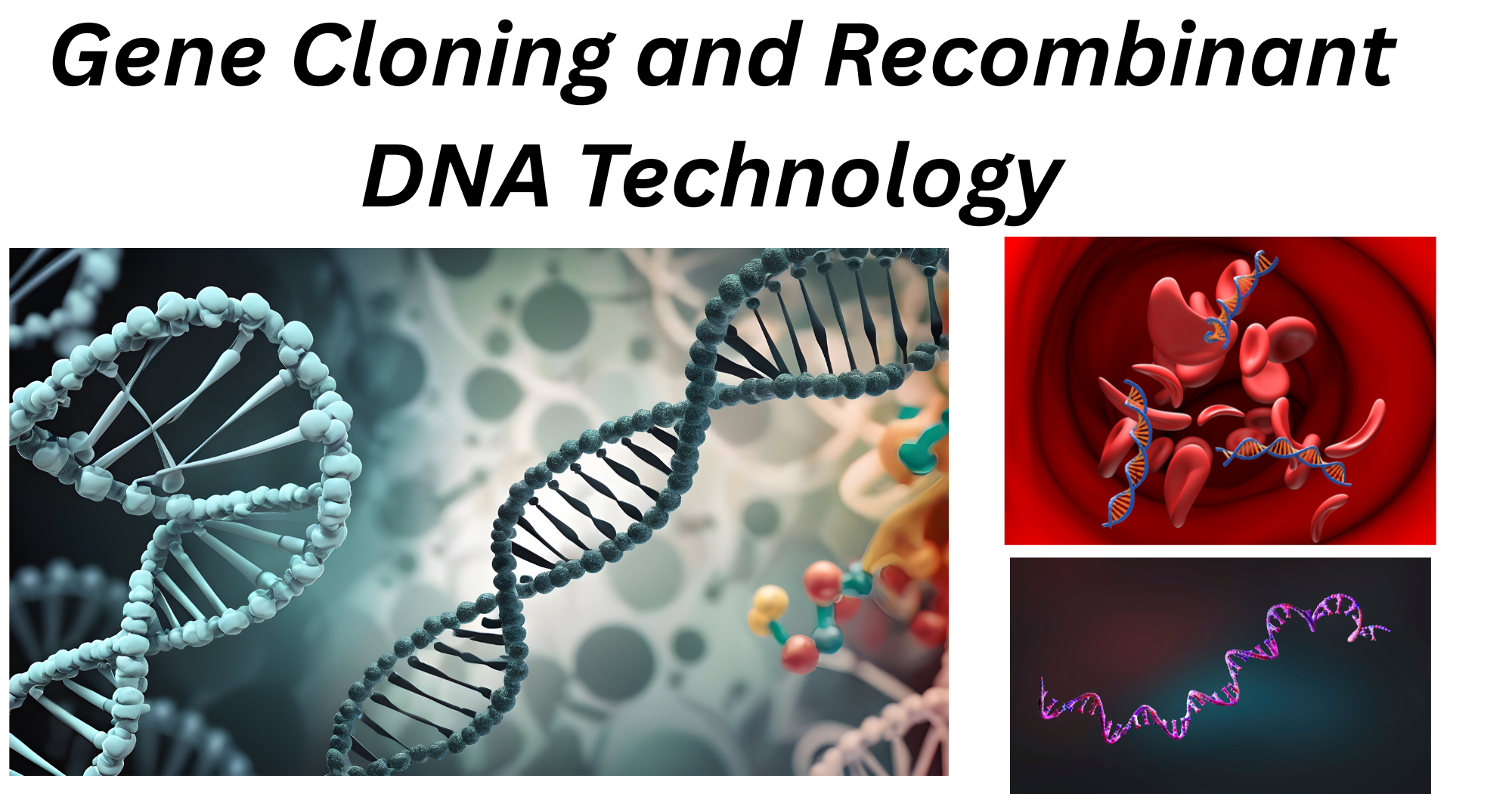 Gene Cloning and Recombinant DNA Technology Gene Cloning and Recombinant DNA Technology